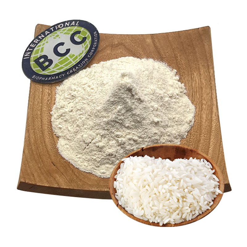 Rice Protein Powder Visual