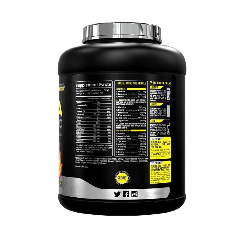 Wholesale Customized Vegan Organic Sugar-Free Low Carbohydrate Sports Drinking Whey Protein Powder for Energy Boosts Immune