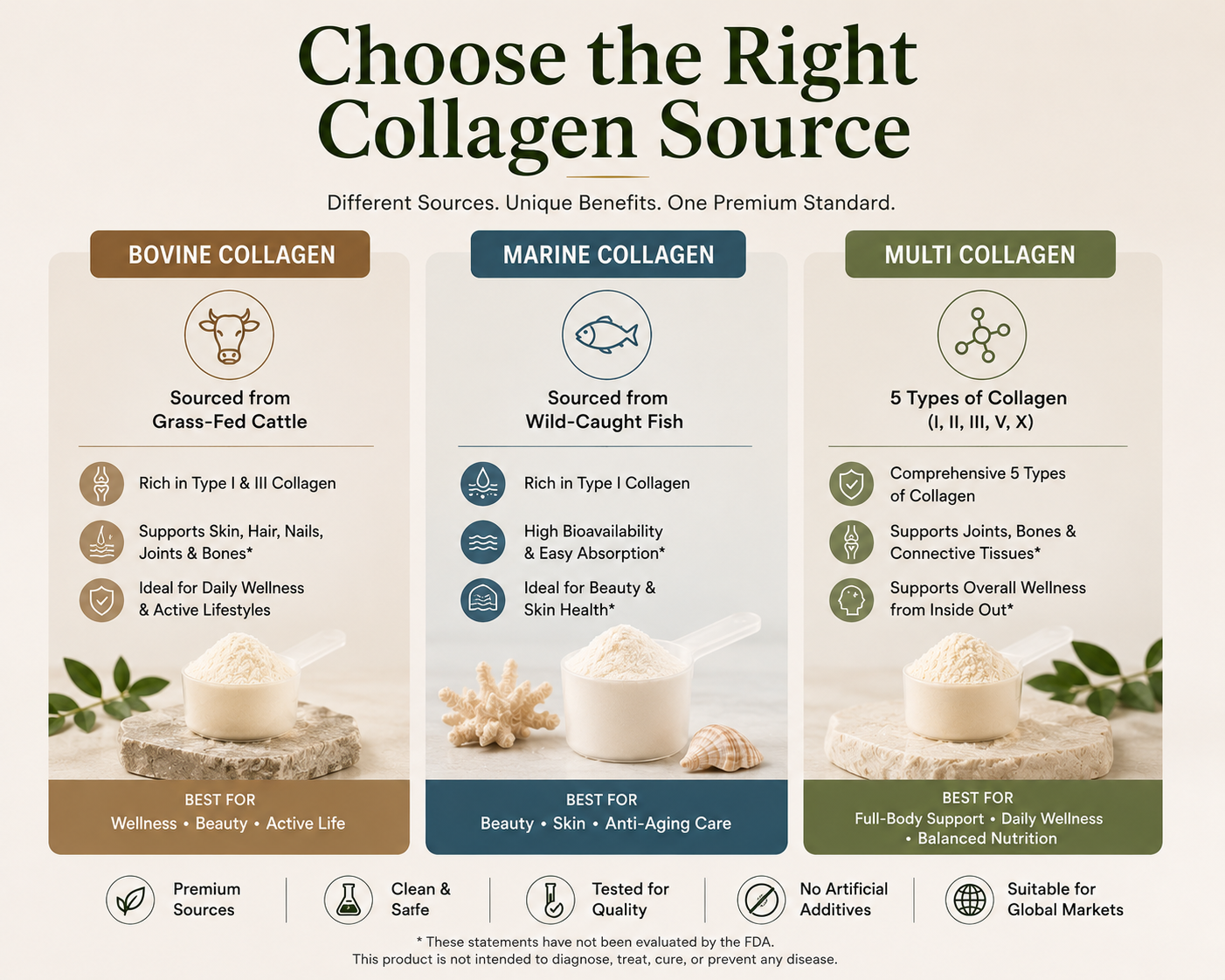Custom Collagen Protein Powder OEM Hydrolyzed Peptides for Wellness Brands