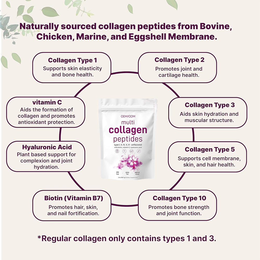 100% Pure Hydrolyzed Collagen Powder | High Bioavailability Protein Supplement