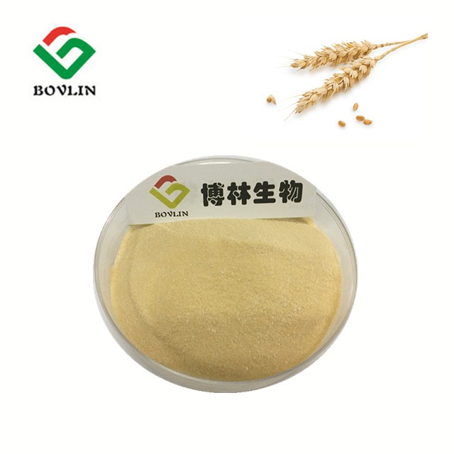 75% Wheat Peptide Oligopeptides Hydrolysed Hydrolyzed Wheat Protein Powder