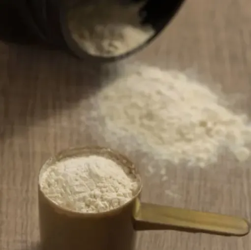Protein Powder Body Building Hydrolyzed Whey Protein