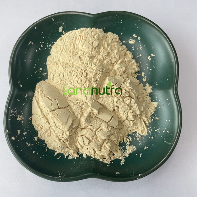 Hydrolyzed Protein Production View 1