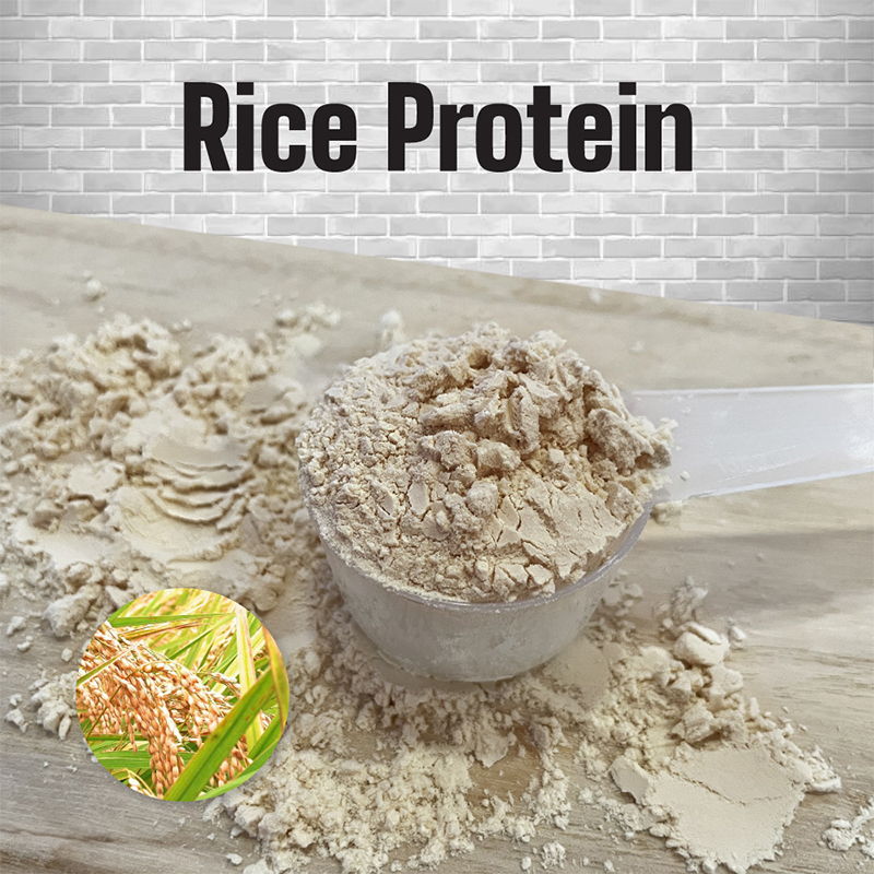Elma Food France Hottest Selling Rice Protein Powder With Organic Grain To Helps Eat More Nutritious And Healthy