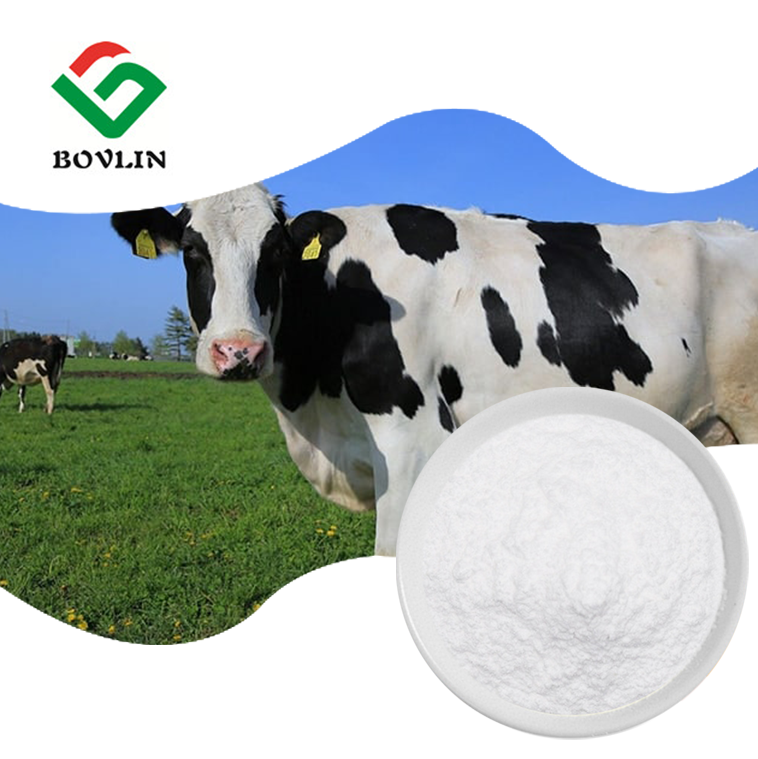 Pure Bovine Collagen Peptide Powder Best Price Kosher Hydrolyzed Collagen Peptides Bovine Halal Collagen Peptide 90%