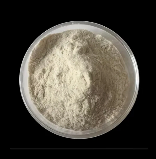 Protein Powder Body Building Hydrolyzed Whey Protein