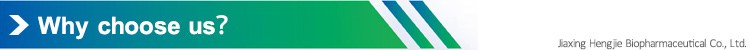 Manufacturing Plant Banner 2