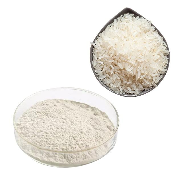 Hydrolyzed Rice Protein Powder Isolate Concentrate Food Grade Purity 80% 90% Organic