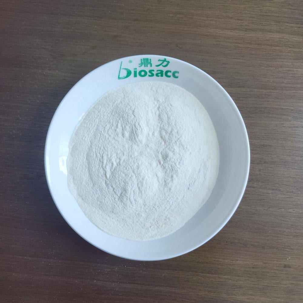 Factory Supply Grass Fed Bovine Hydrolyzed Beef Collagen Peptides - Halal Certified Protein Powder with Fish Collagen Thickeners