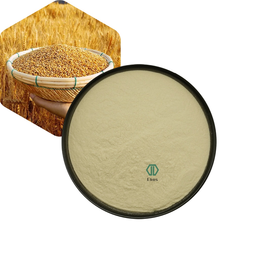 High Quality Hydrolyzed Wheat Protein Isolate Plant Supplement Wheat Protein Powder