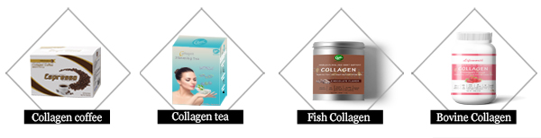 Collagen Types Flowchart