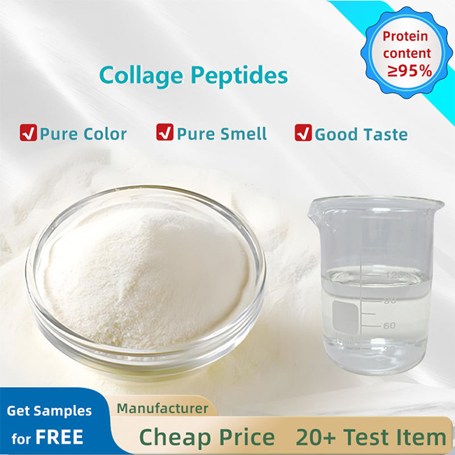 Hydrolyzed Grass Fed Halal Adult Collagen Peptide Protein Powder Bovine Skin &amp; Bone Food Supplement