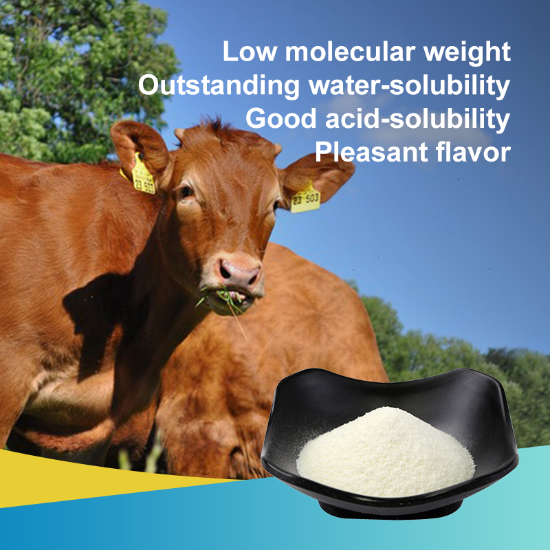 AMULYN Hydrolyzed Bovine Collagen Peptide Powder Adult Natural Protein Supplement Nutritious Supplementary Food Grade HALAL ISO