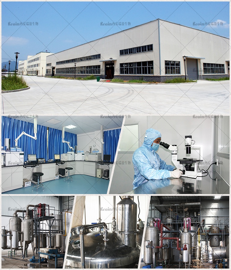 Production Facility