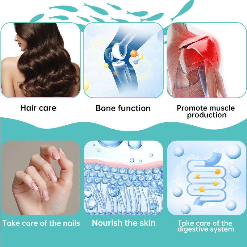 High Quality Hydrolyzed Marine Collagen Peptide Powder for Joint Skin Hair Nails Support