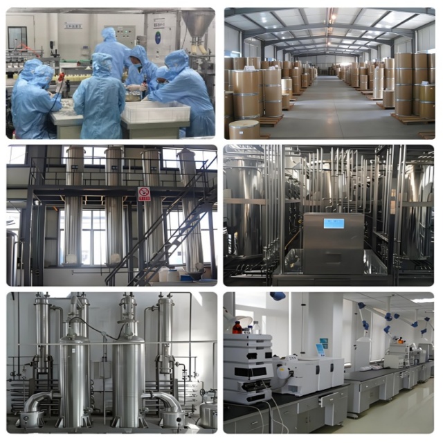 Factory Price Good Protein Powder Hydrolyzed Multi Collagen Marine Fish Collagen Peptide Powder Marine Collagen Powder