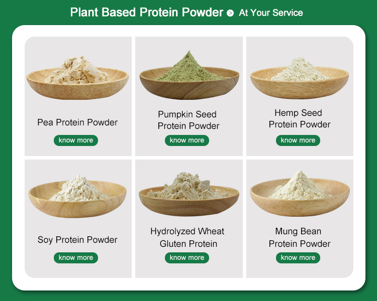 Plant Protein Powder Options