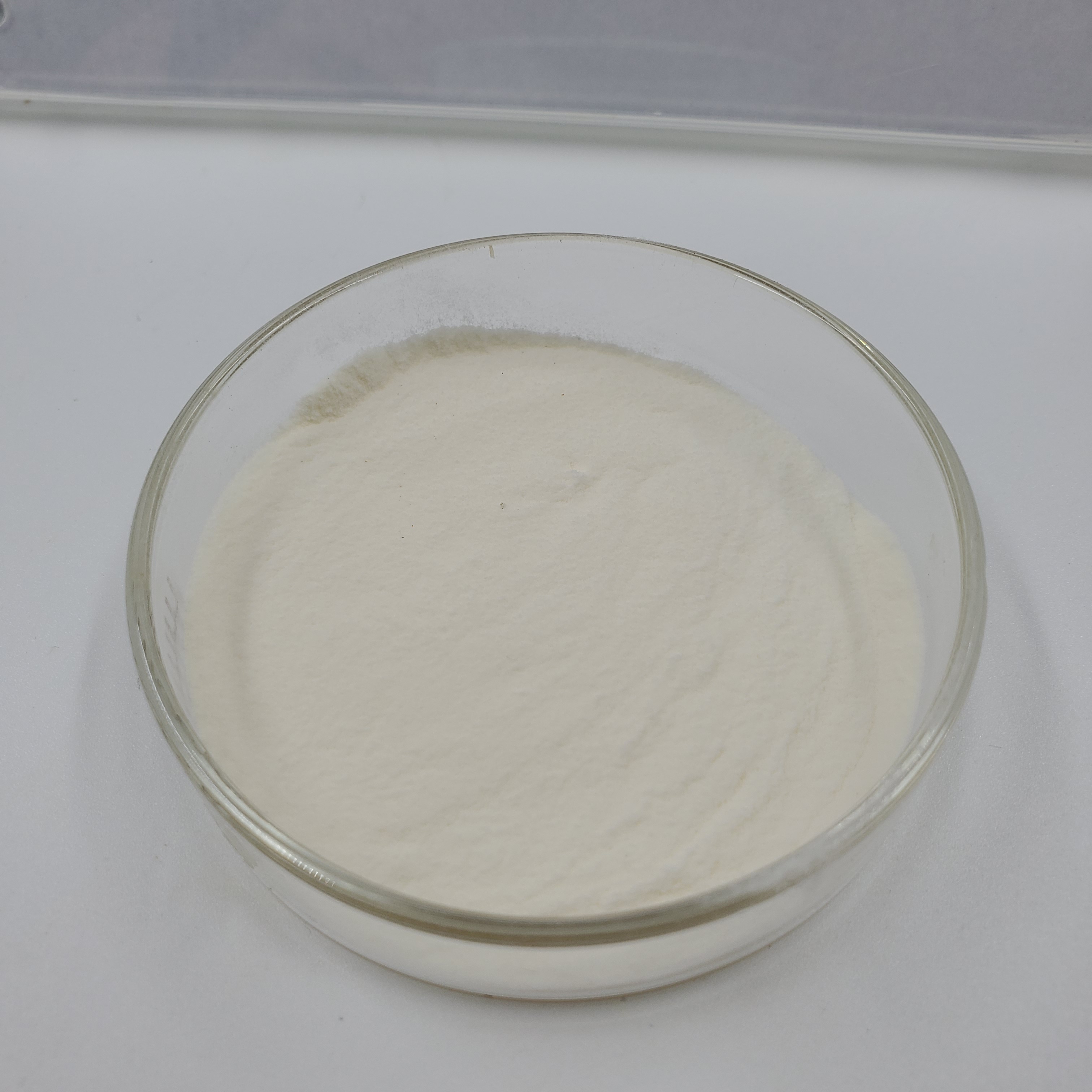 Skin Whitening Hydrolyzed Rice Protein High Quality Rice Protein Powder