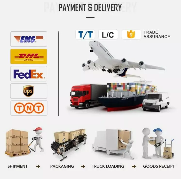 Product Packaging and Shipping Display