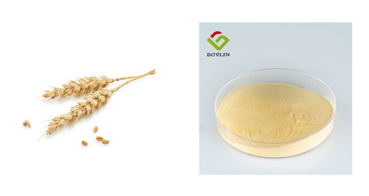 Product Quality Inspection