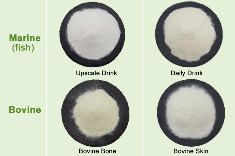 Hydrolyzed Bovine Collagen Peptide Powder