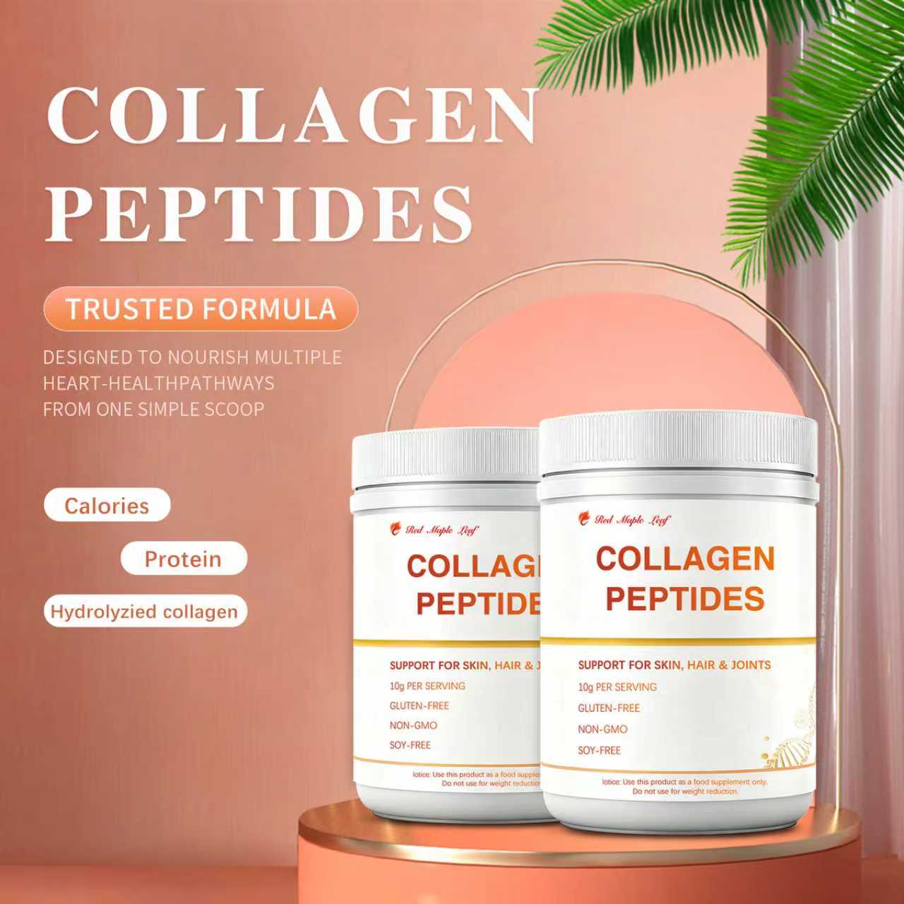 Hydrolyzed Marine Collagen Peptides Powder | 10g Bioactive Protein Per Serving for Skin, Hair, Nails &amp; Joint Support