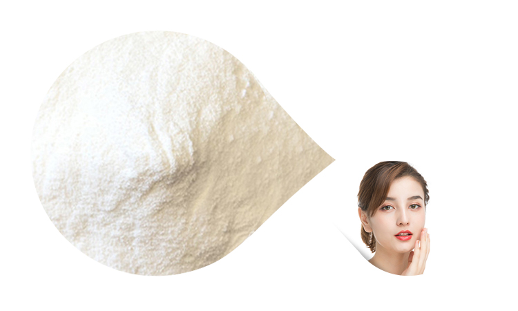 Halal Hydrolyzed Bovine Collagen