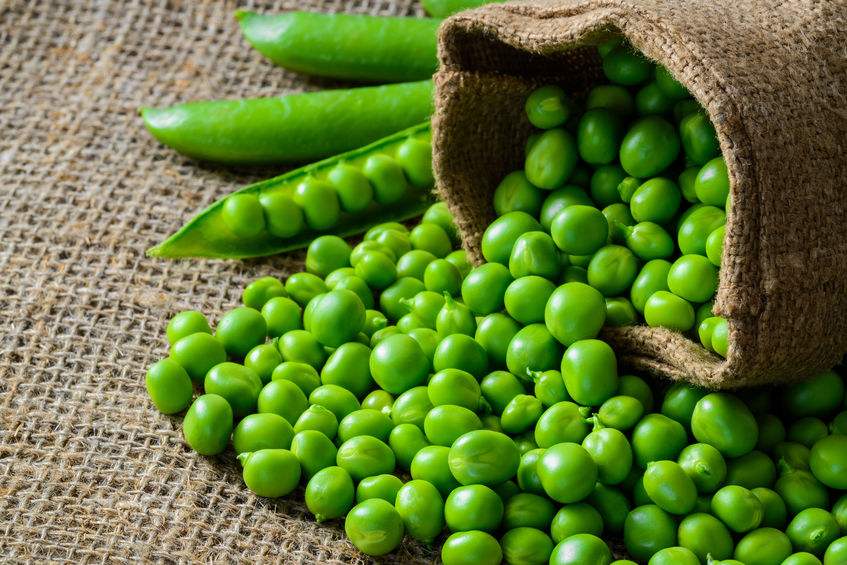 Organic Pea Protein/Isolated Pea Protein 80%-85% In Stock Fast Delivery
