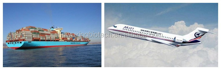 Sea and Air Shipping Details