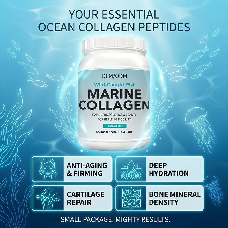 Pure Marine Fish Collagen Peptide Powder Low Molecular Protein Skin Elasticity Joint Support OEM ODM Private Label Wholesaler