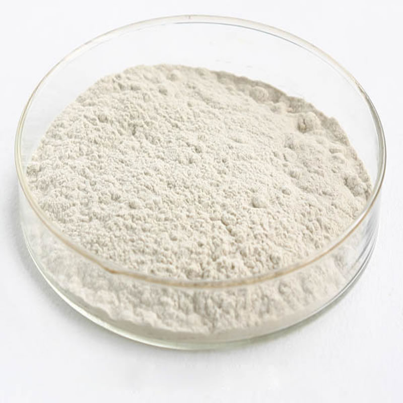 Food Grade Rice Protein Powder 80% For Food Supplement