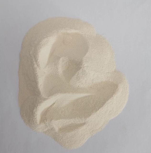 Rice protein structure specification