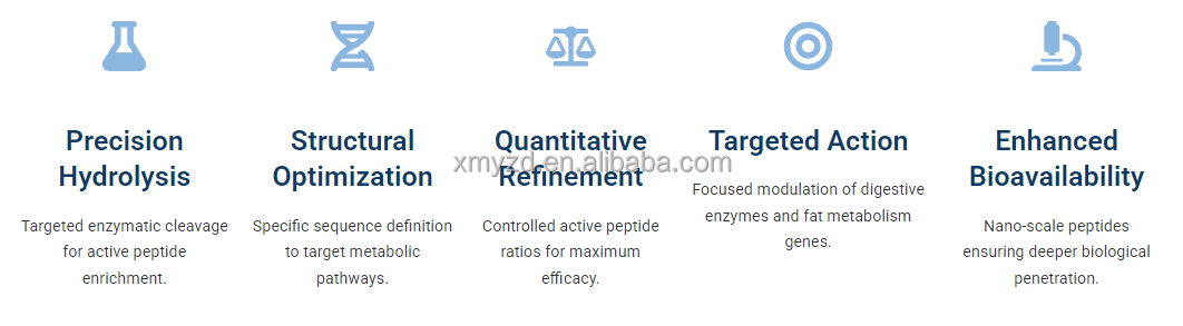 Clinical analysis of Oat Peptide