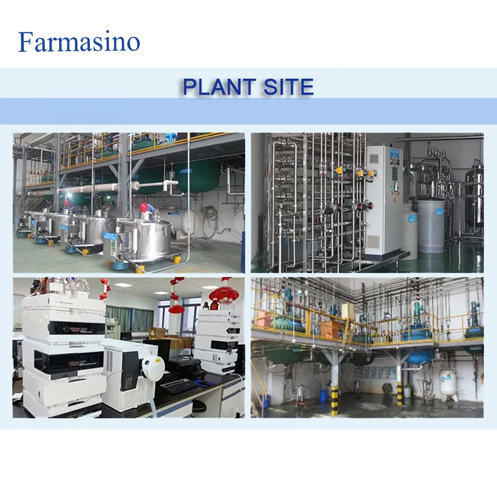 High Quality Hydrolyzed Organic Rice Protein Powder For Private Label Rice Protein 80%