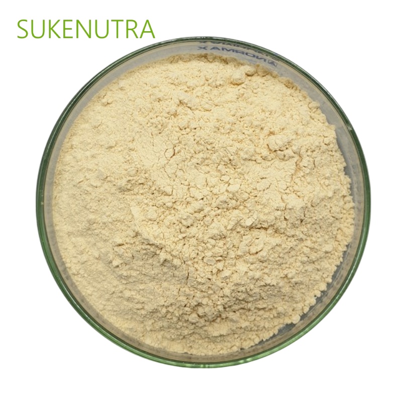 High Quality Hydrolyzed Wheat Protein