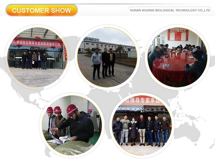 Customer Showcase Exhibition
