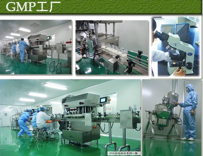 Protein Powder 10kg Hydrolyzed Proteins Collagen Marine Collagen Powder Fish Collagen Tripeptide