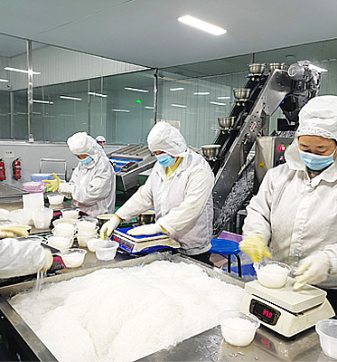 Factory Facility