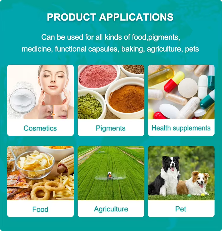 Wholesale Bulk Unflavored HALAL 200G Hydrolyzed Bovine Collagen Peptides Protein Powder Supplements for Adults