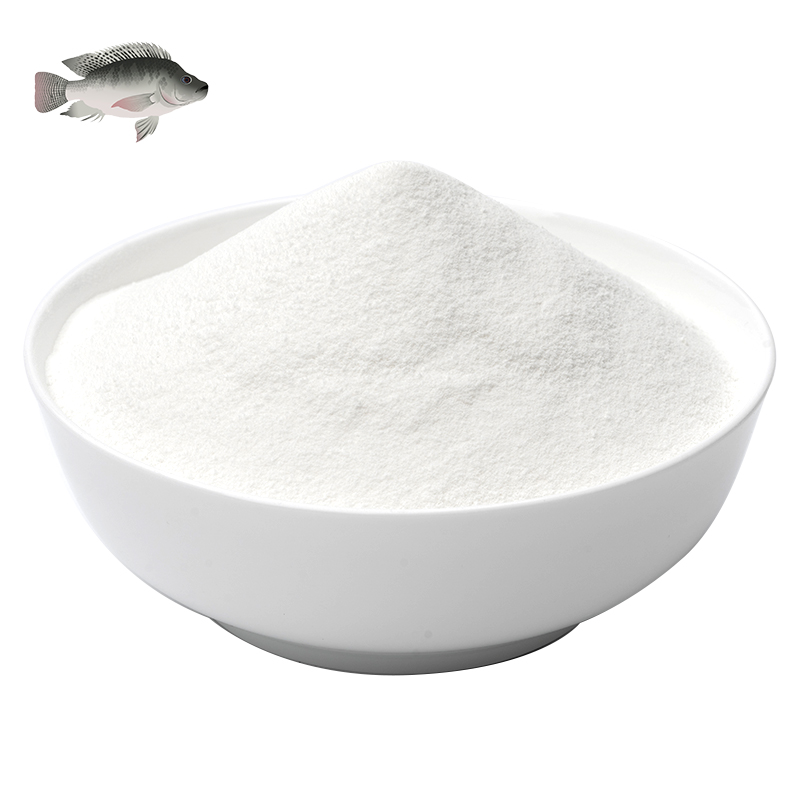 High Quality Hydrolyzed Collagen High Purity Powdered Collagen Functional Animal Protein