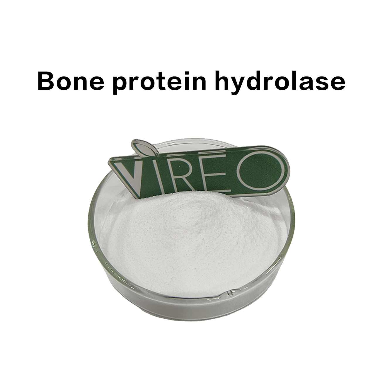 Bone Protein Hydrolase details