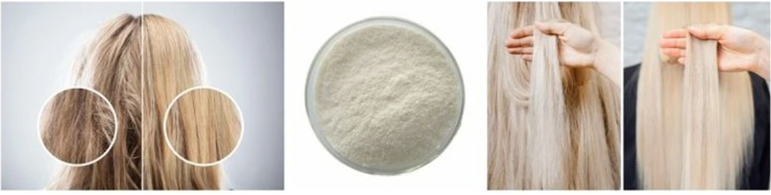 Hydrolyzed Keratin Protein Powder Description