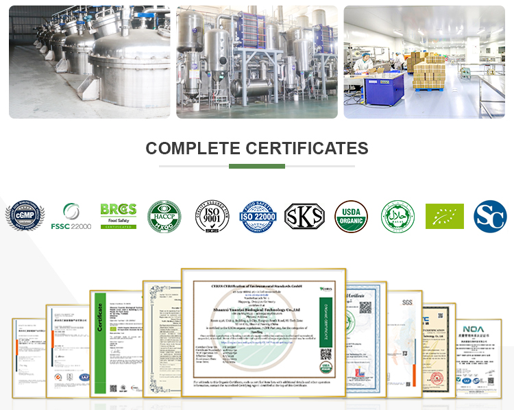 Bovine Collagen Peptide Powder Solid Drink Hydrolyzed Protein for Skin Nail and Hair Support Stick Private Label OEM