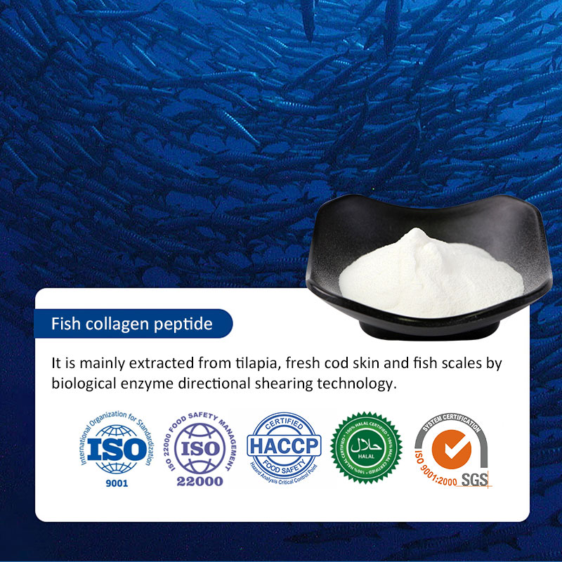 Factory Supply Hydrolyzed Food Grade High Purity 90% Protein Tilapia Fish Collagen Peptide Powder