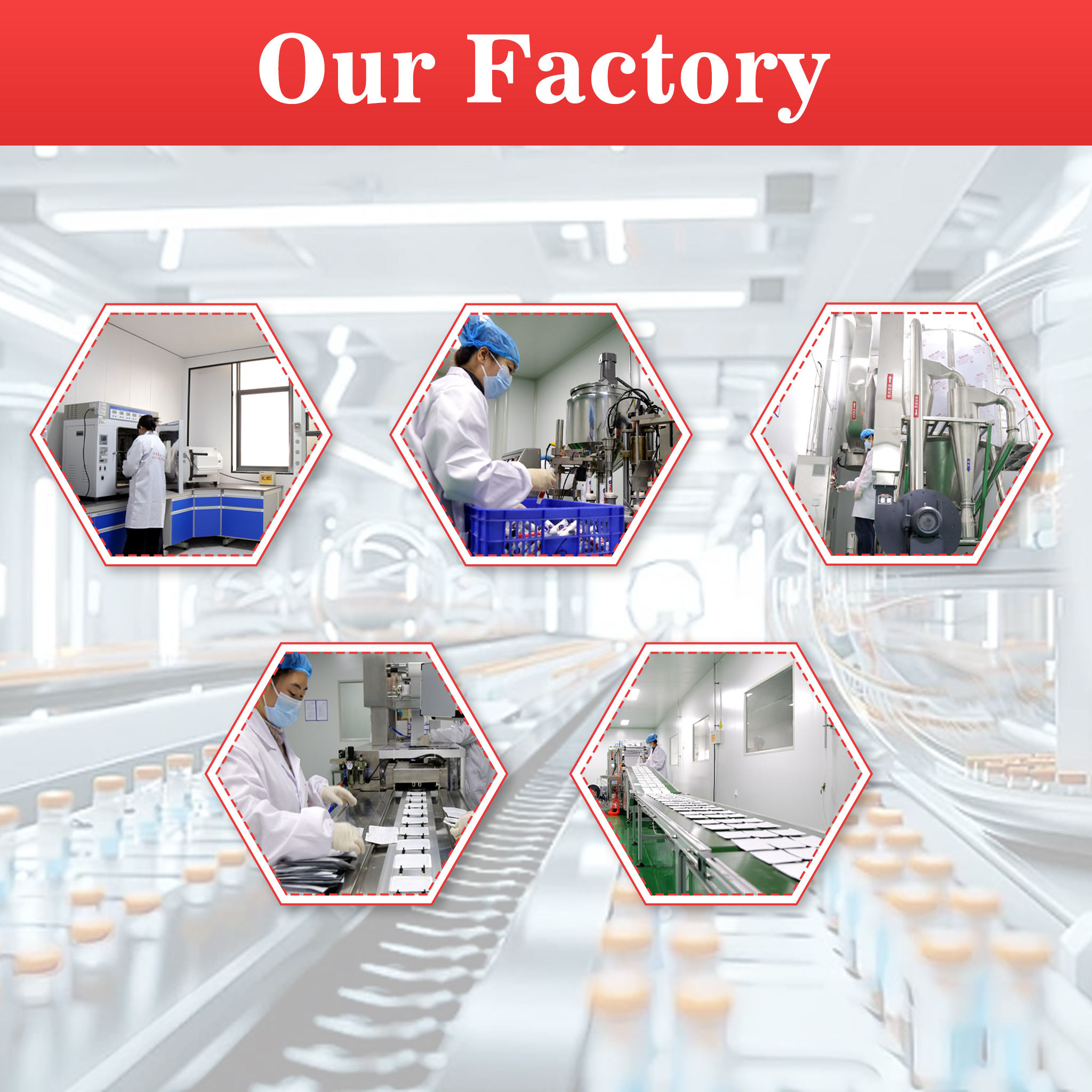 Hydrolyzed Collagen Peptides Powder Type I &amp; III &ge;90% Protein Fish or Bovine Source Low Molecular Weight (<3kDa) Bulk OEM Supply