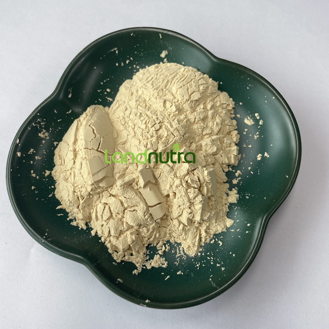 Hydrolyzed Protein Production View 2