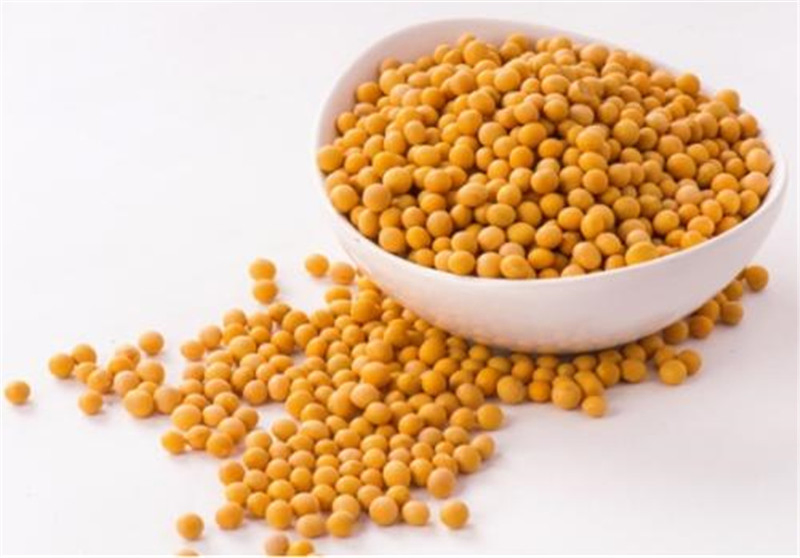 CAS 9010-10-0 Tvp Organic Hydrolyzed Soybean Soy Protein