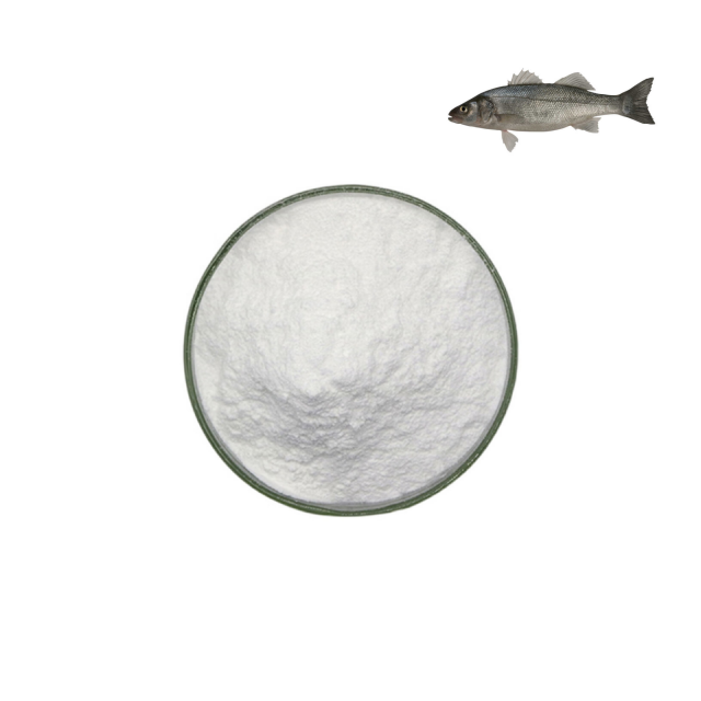 Factory Price Good Protein Powder Hydrolyzed Multi Collagen Marine Fish Collagen Peptide Powder Marine Collagen Powder