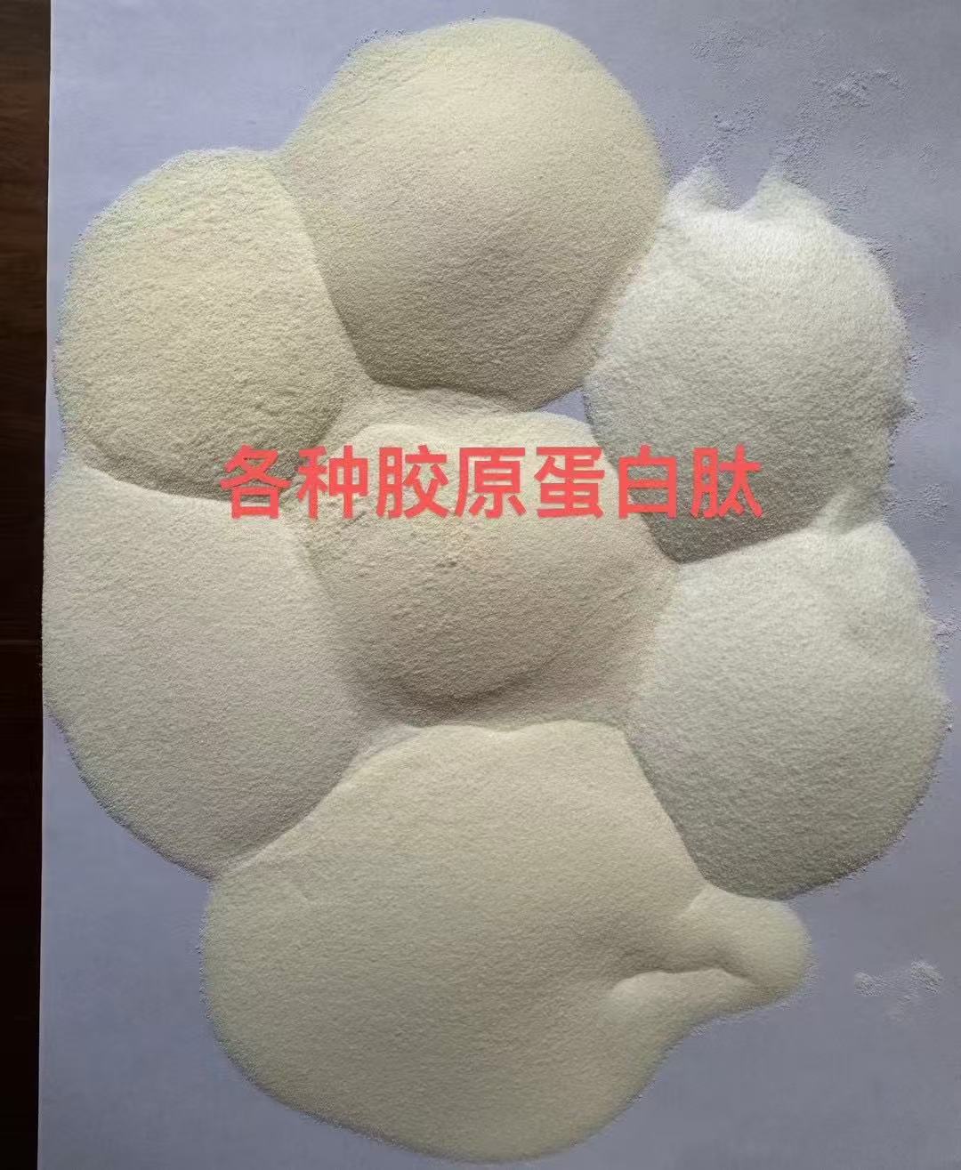 Protein Powder 10kg Hydrolyzed Proteins Collagen Marine Collagen Powder Fish Collagen Tripeptide