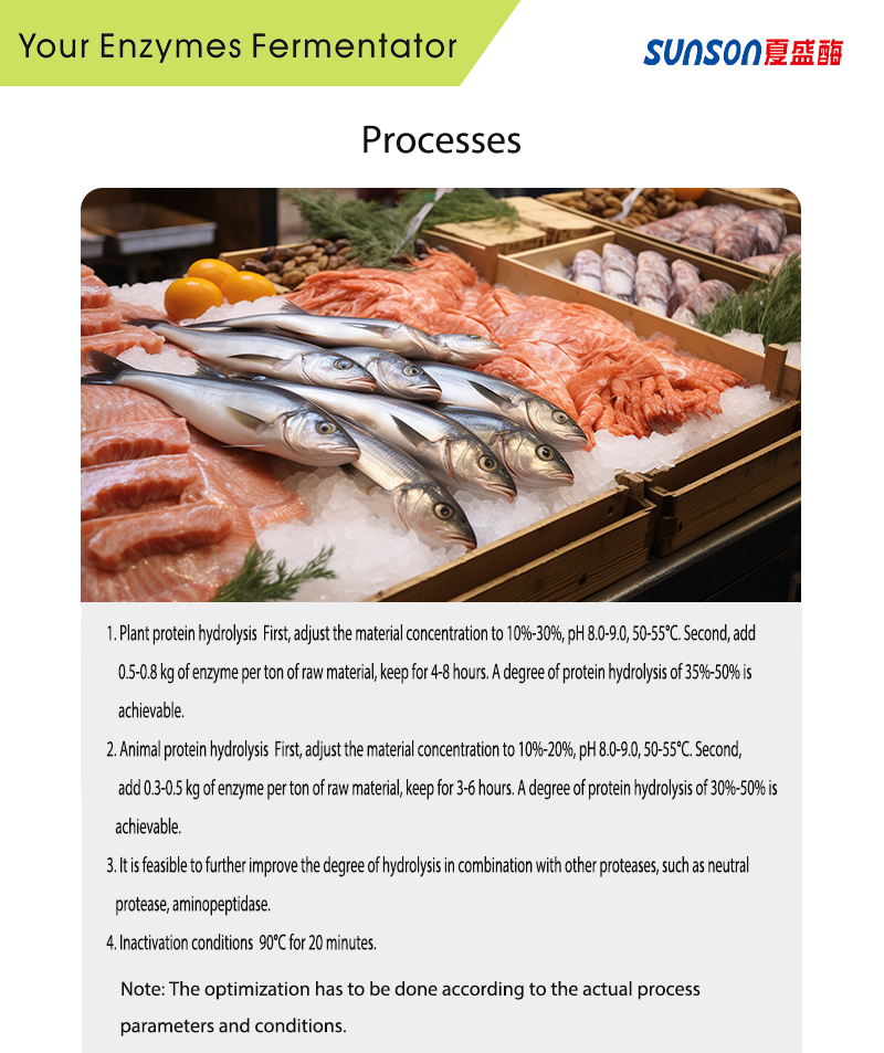 Trypsin Enzyme (20000u/g) for Seasoning Industry, Plant Protein Hydrolysis, Animal Protein Hydrolysis